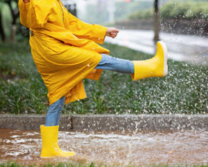 Wonder Seeker - How to Dance in Life's Storms Without Getting Soaked Thumbnail
